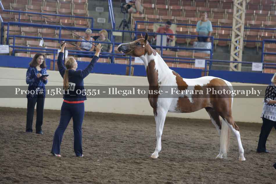Proof 15R11_05551