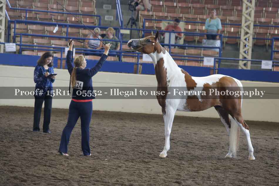 Proof 15R11_05552