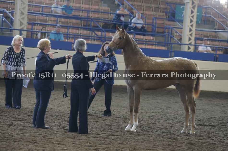 Proof 15R11_05554