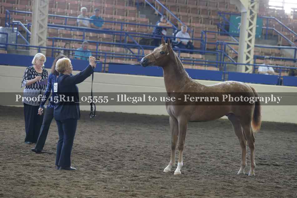 Proof 15R11_05555
