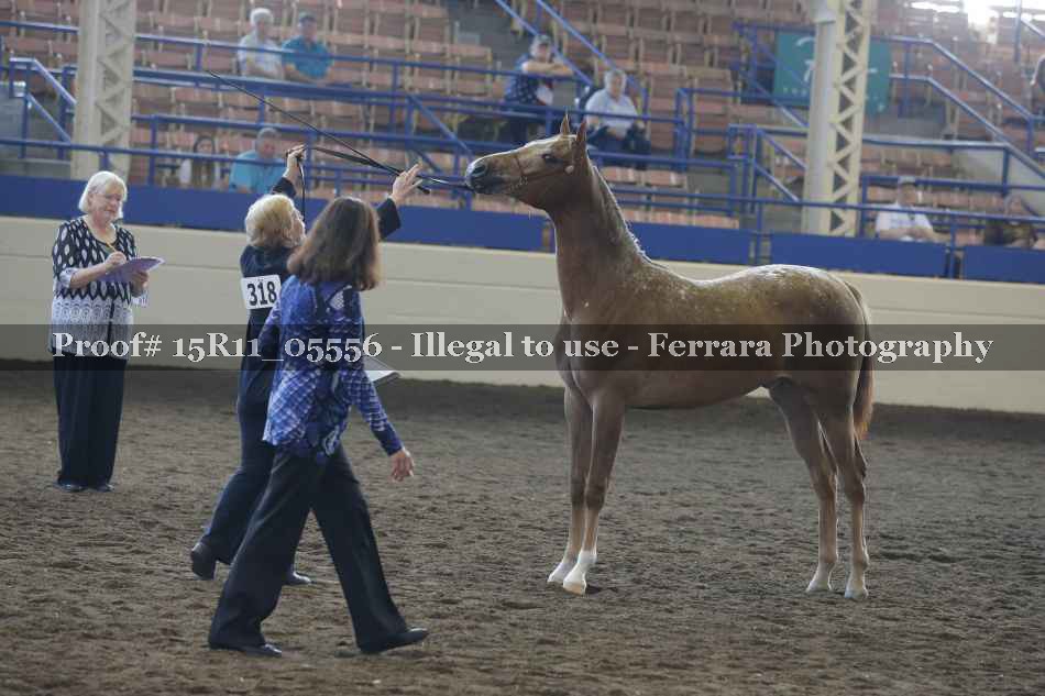 Proof 15R11_05556