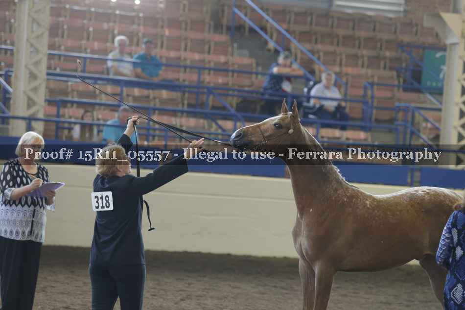 Proof 15R11_05557
