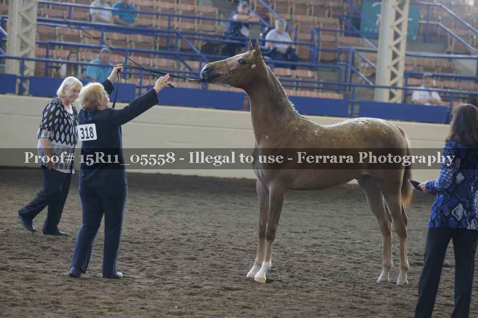 Proof 15R11_05558