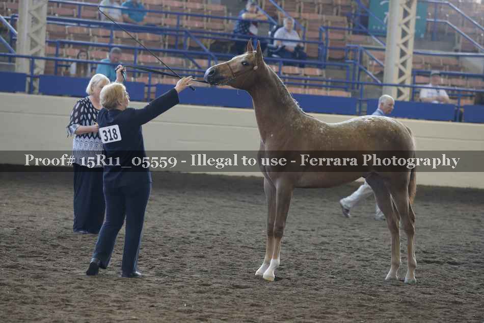Proof 15R11_05559