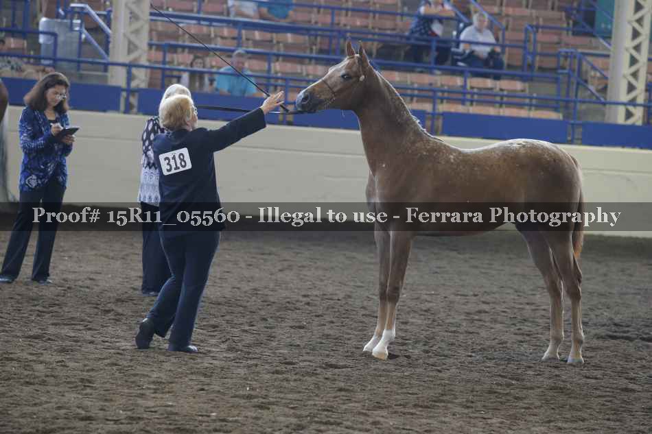 Proof 15R11_05560