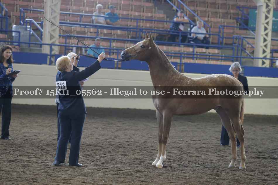 Proof 15R11_05562