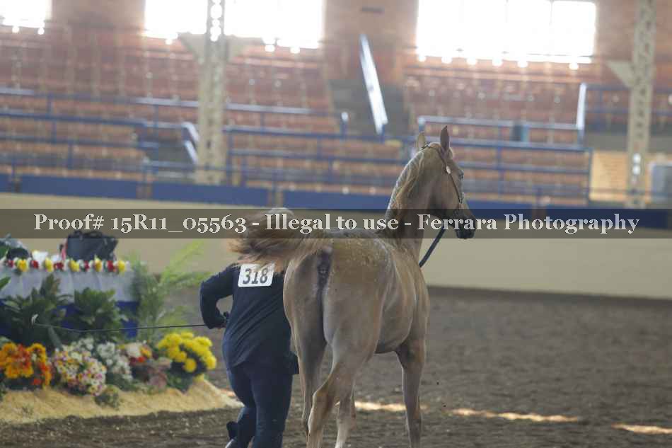 Proof 15R11_05563