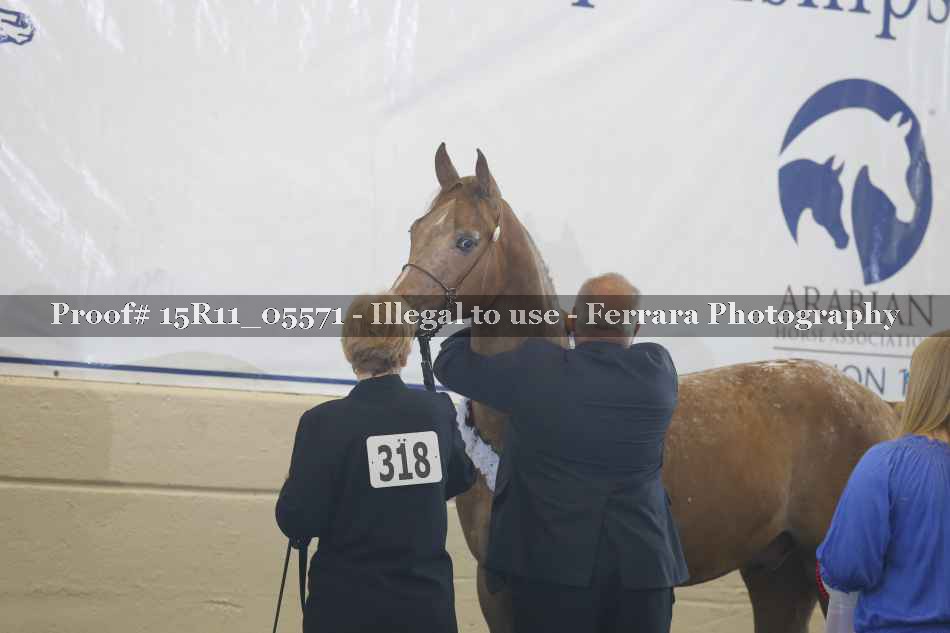 Proof 15R11_05571