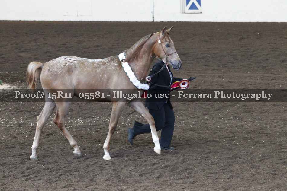Proof 15R11_05581