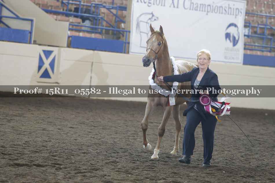 Proof 15R11_05582