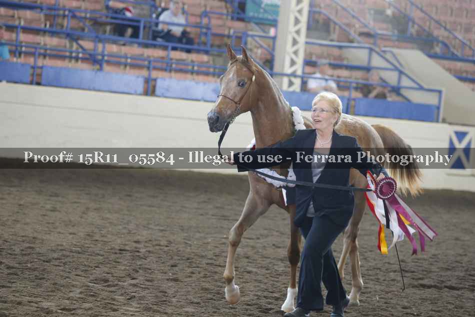Proof 15R11_05584