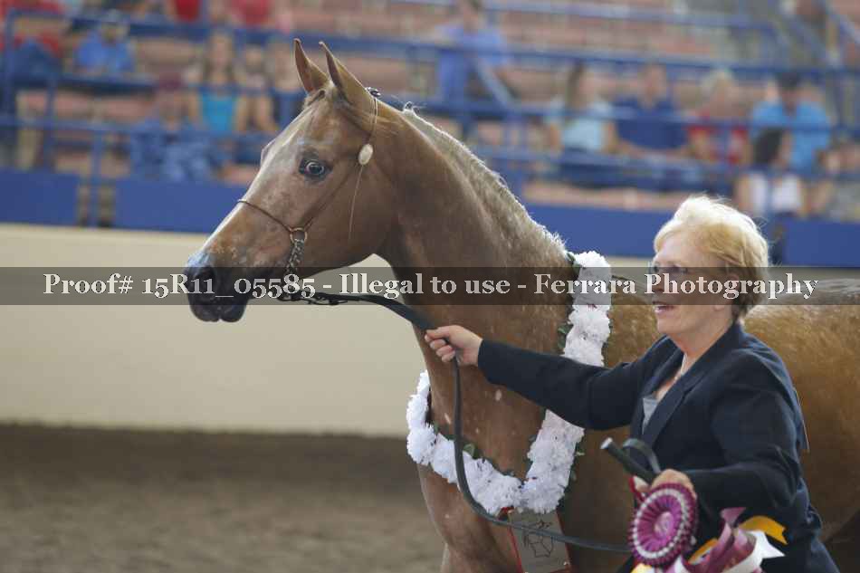 Proof 15R11_05585