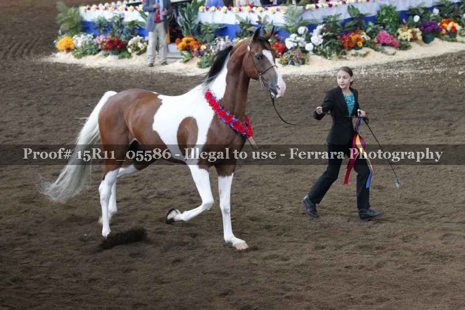 Proof 15R11_05586