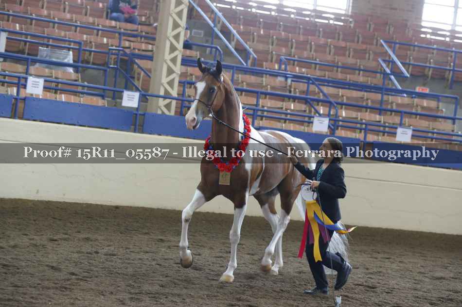 Proof 15R11_05587