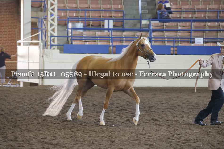 Proof 15R11_05589