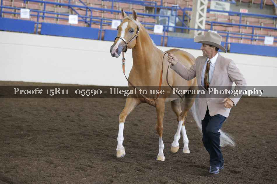 Proof 15R11_05590