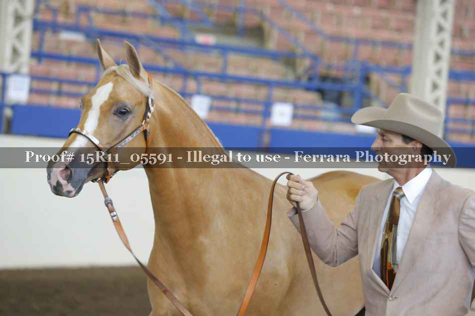 Proof 15R11_05591