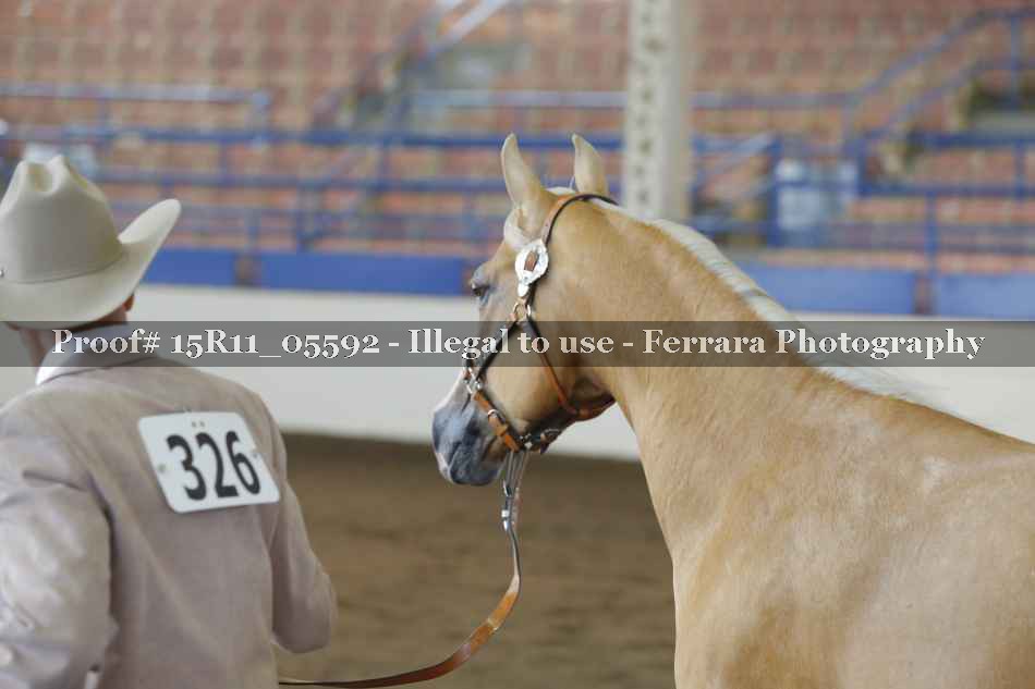 Proof 15R11_05592