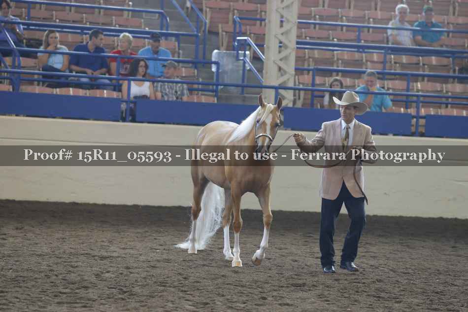 Proof 15R11_05593