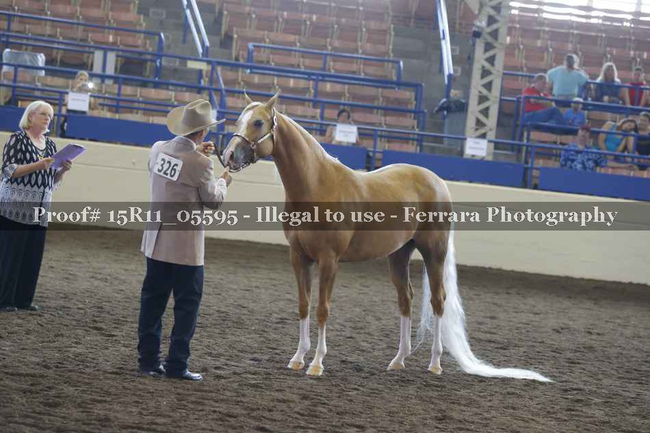 Proof 15R11_05595