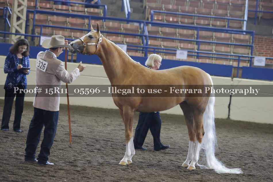 Proof 15R11_05596