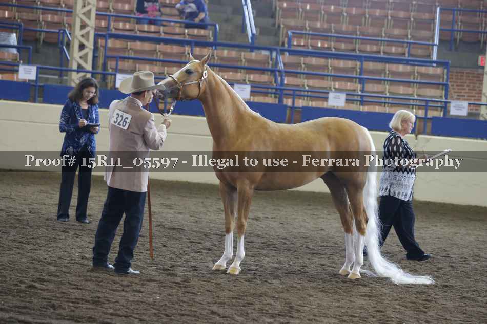 Proof 15R11_05597