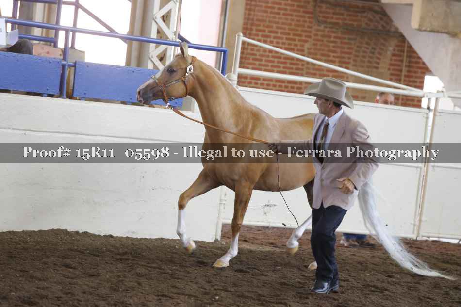 Proof 15R11_05598