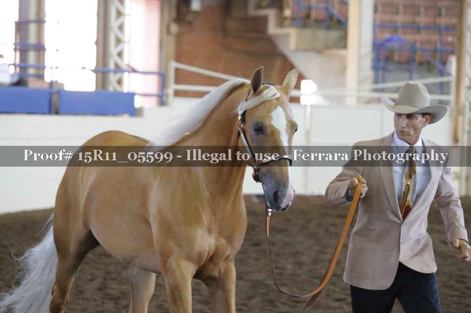 Proof 15R11_05599
