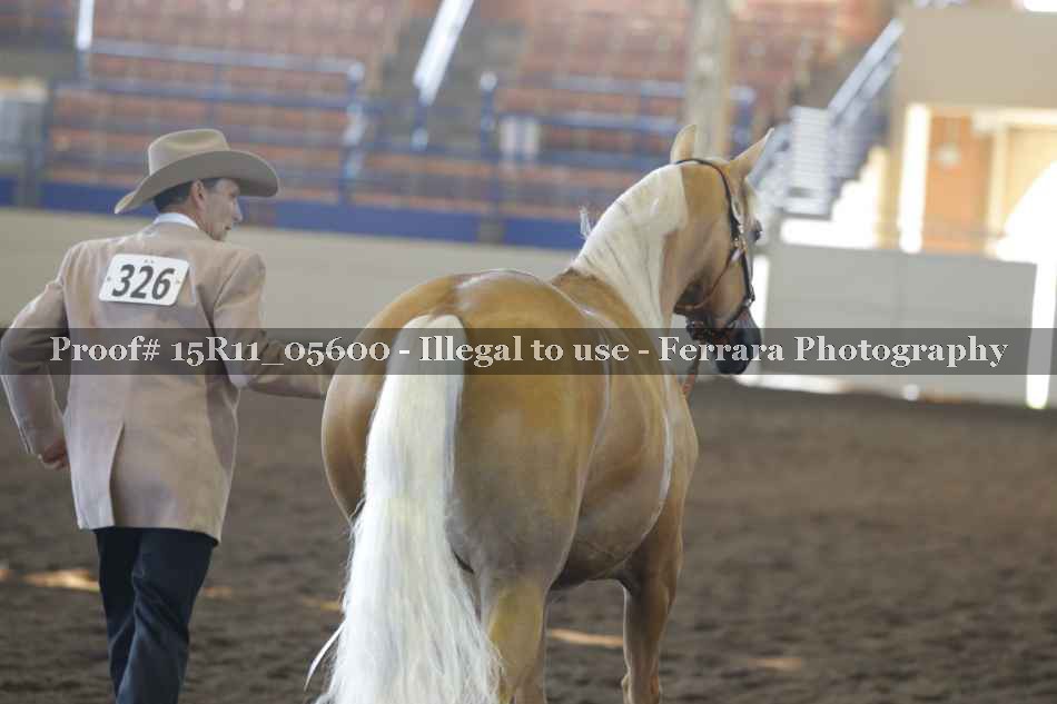 Proof 15R11_05600