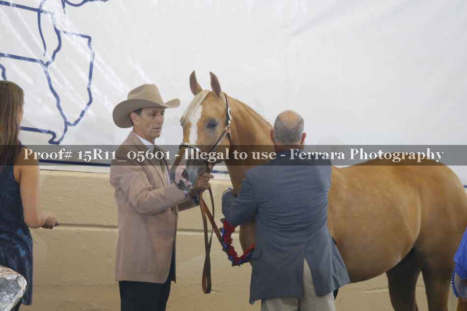 Proof 15R11_05601