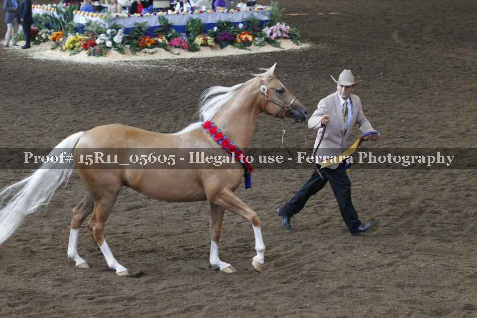 Proof 15R11_05605