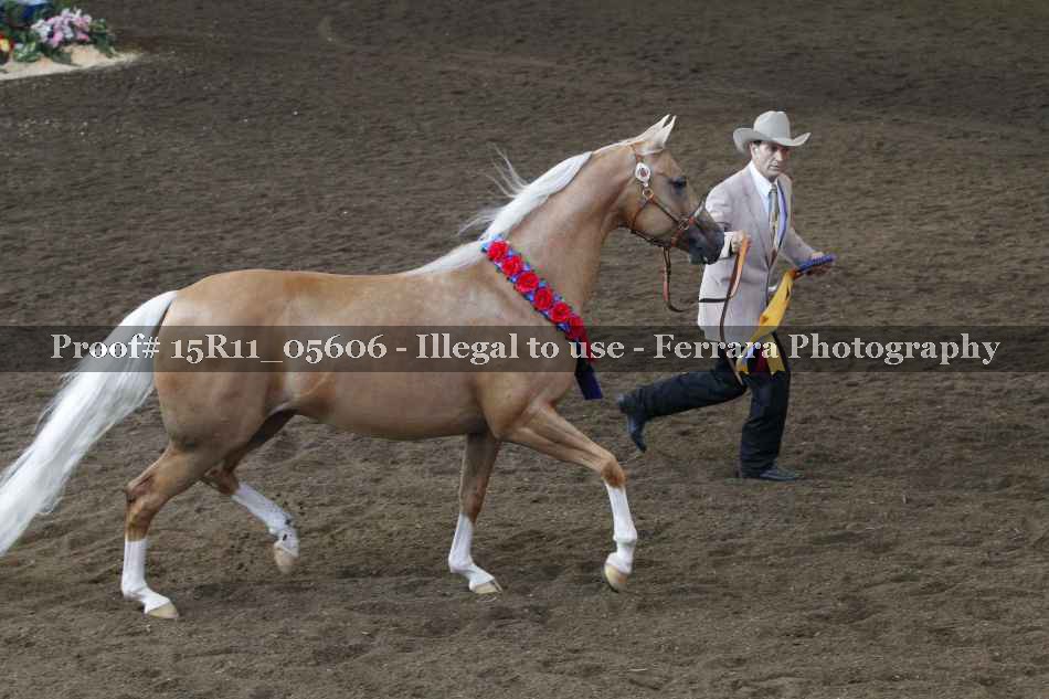 Proof 15R11_05606