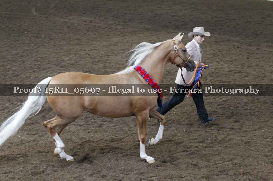Proof 15R11_05607