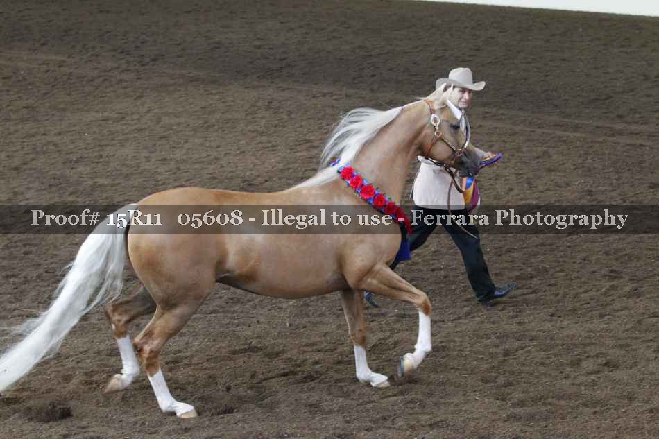 Proof 15R11_05608