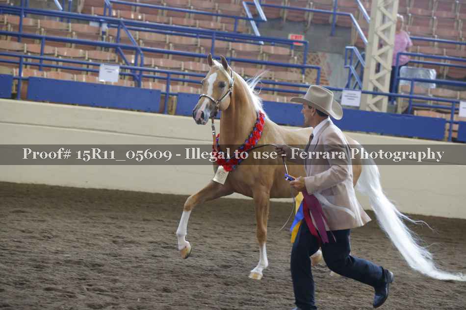Proof 15R11_05609