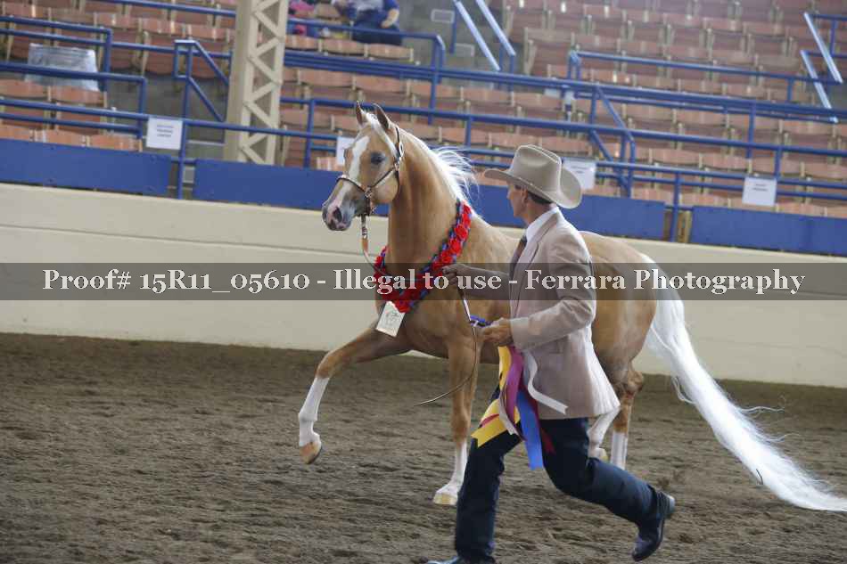 Proof 15R11_05610