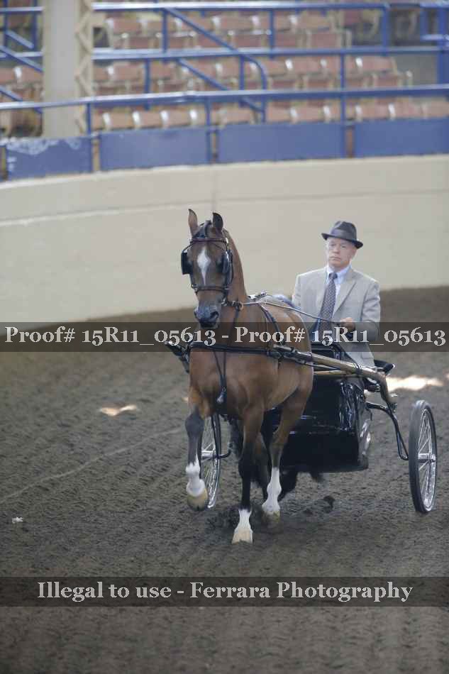 Proof 15R11_05613