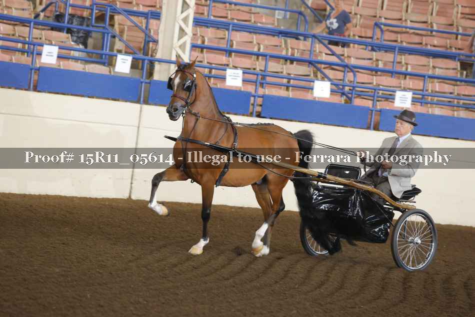 Proof 15R11_05614
