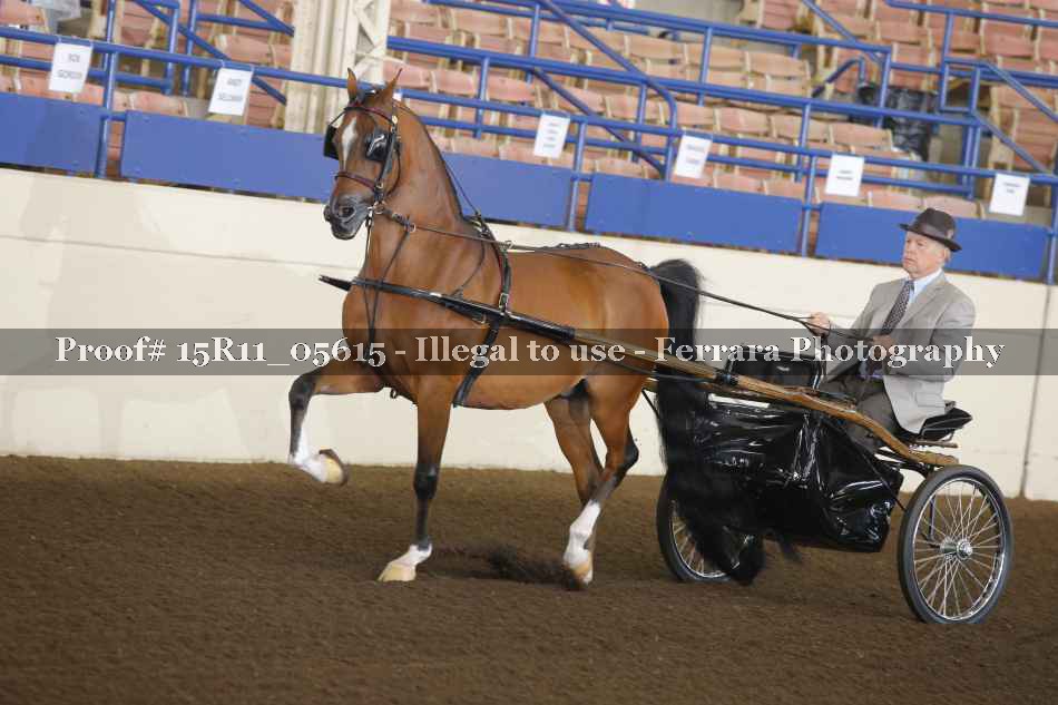 Proof 15R11_05615