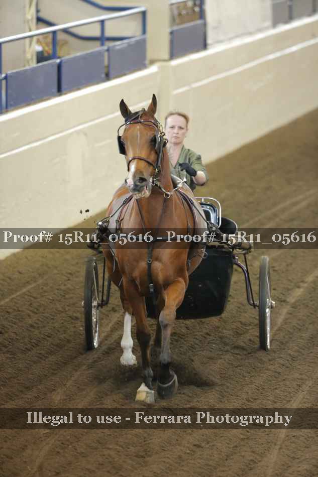 Proof 15R11_05616