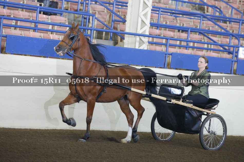 Proof 15R11_05618
