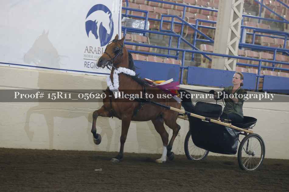 Proof 15R11_05620