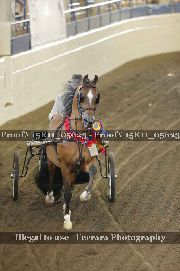 Proof 15R11_05623