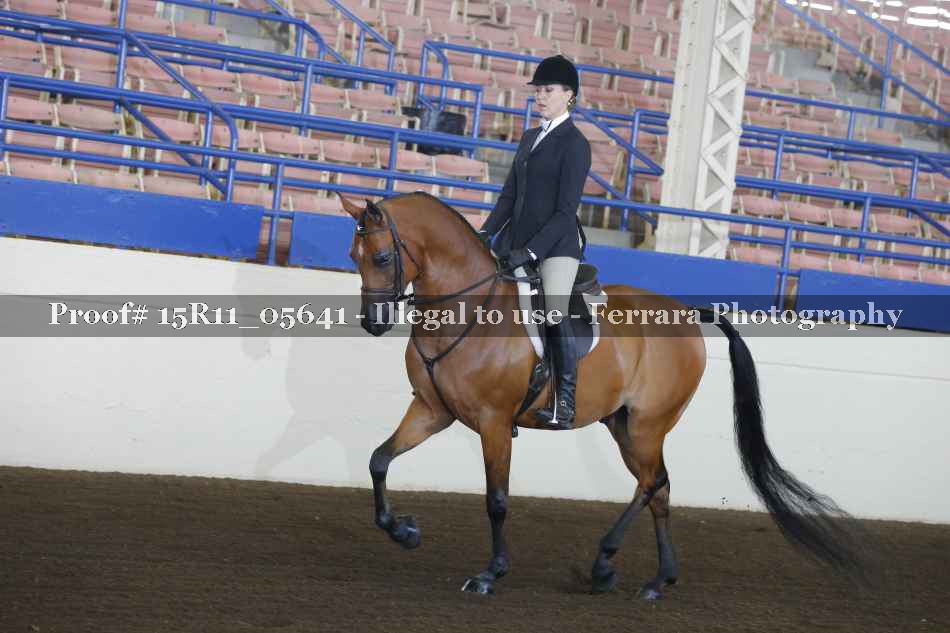 Proof 15R11_05641