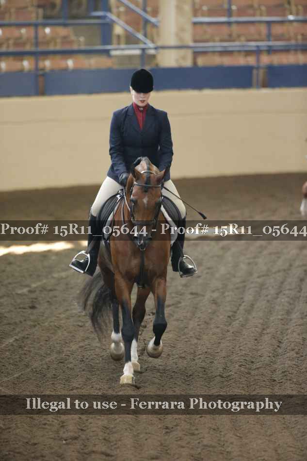 Proof 15R11_05644