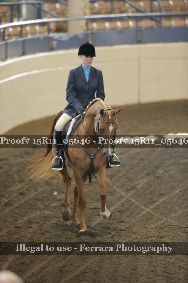 Proof 15R11_05646