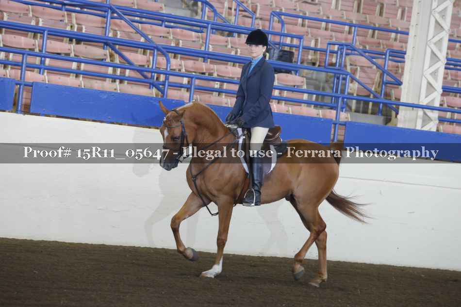 Proof 15R11_05647