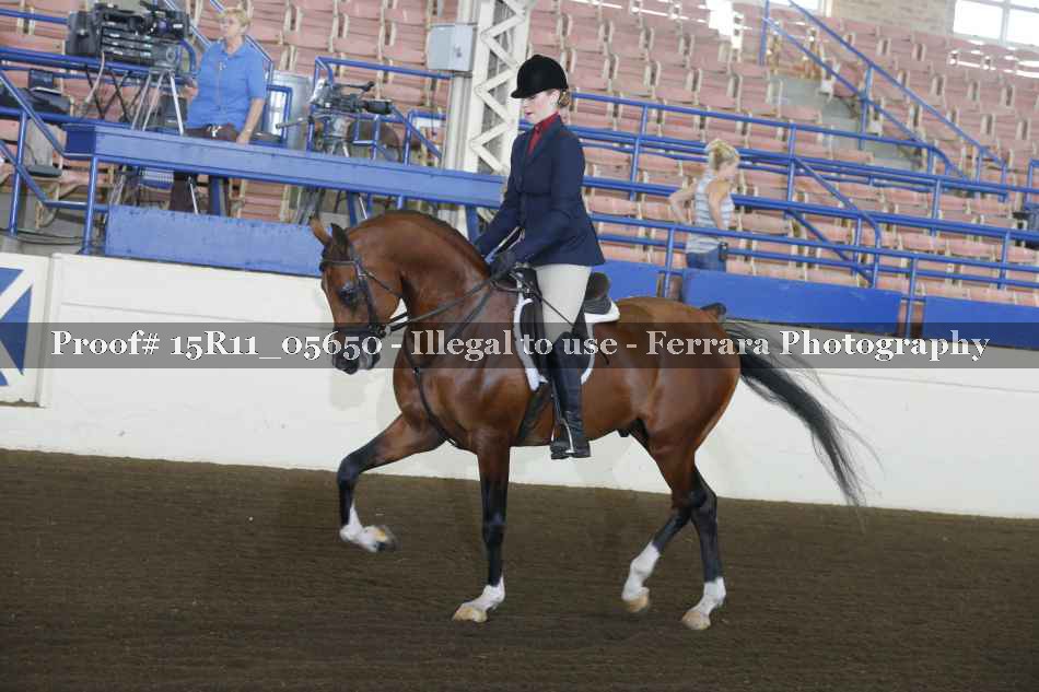 Proof 15R11_05650