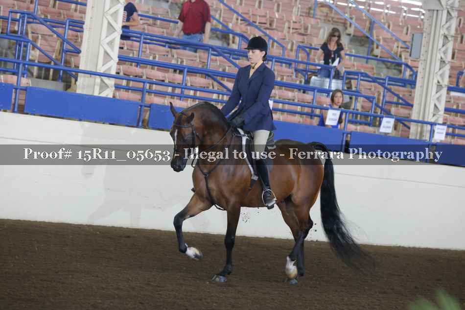 Proof 15R11_05653