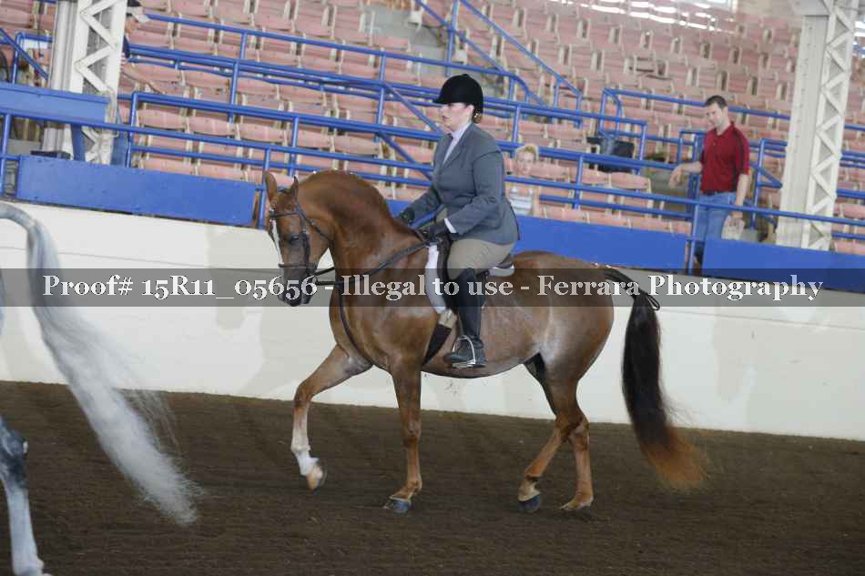 Proof 15R11_05656